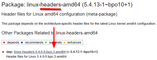 linux-headers-amd64 - version