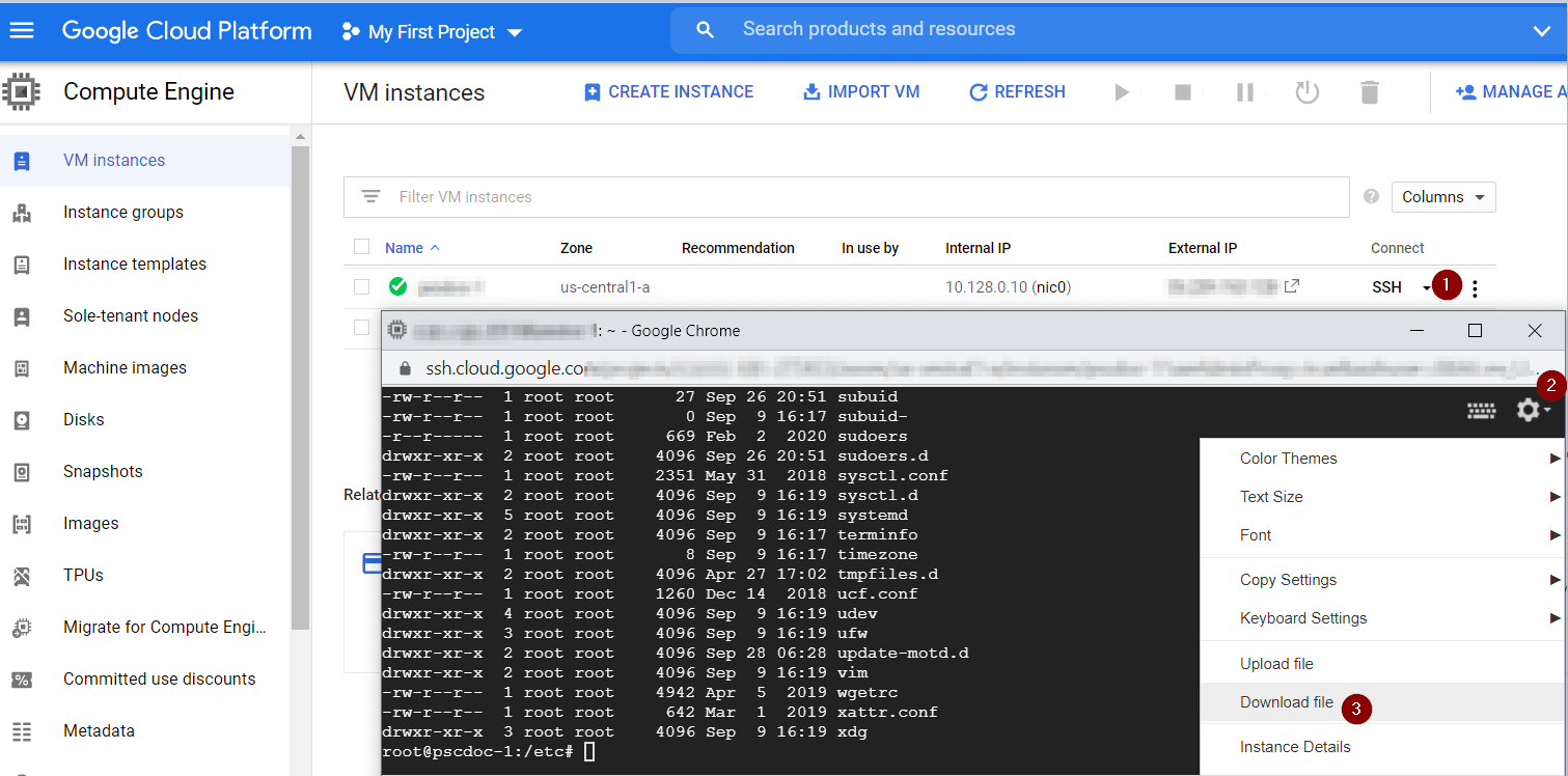 GCP - Download file directly from your VM